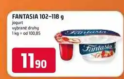 Terno Danone Fantasia, různé druhy 102-118g nabídka