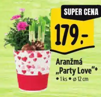 Albert Aranžmá „Party Love" nabídka