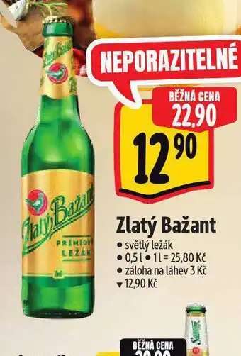 Albert Pivo zlatý bažant nabídka