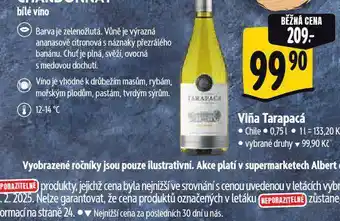 Albert Vina tarapacá chardonnay nabídka