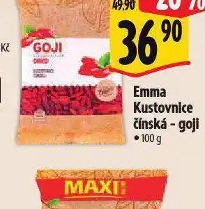 Albert Emma kustovnice čínská - goji nabídka