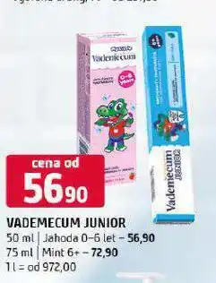 Terno Vademecum junior mint nabídka