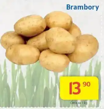 Kubík potraviny Brambory nabídka