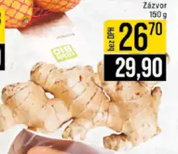 Jip Zázvor nabídka