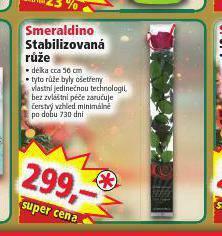 Norma Stabilizovaná růže nabídka