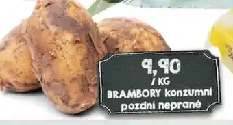 Jip BRAMBORY konzumní pozdní neprané nabídka