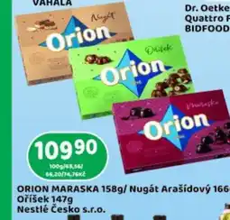 Brněnka ORION MARASKA nabídka