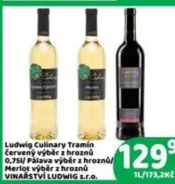 Brněnka Ludwig Culinary Tramin nabídka