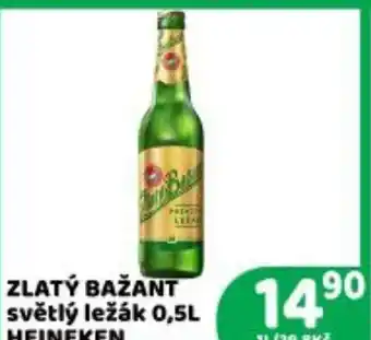 Brněnka ZLATÝ BAŽANT světlý ležák nabídka