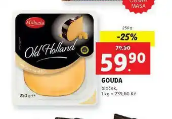Lidl Gouda bloček nabídka