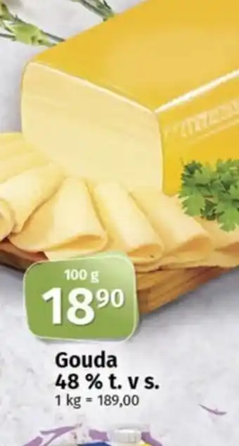 COOP TIP Gouda 48% t. v s. nabídka