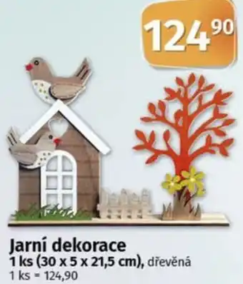 COOP TIP Jarní dekorace nabídka