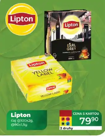 Tamda Foods Lipton nabídka