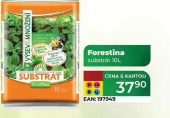 Tamda Foods Forestina substrát nabídka