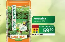 Tamda Foods Forestina substrát nabídka