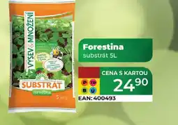 Tamda Foods Forestina substrát nabídka