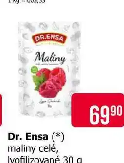 Teta Dr. Ensa maliny celé, Iyofilizované 30 g nabídka