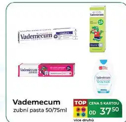 Tamda Foods Vademecum zubní pasta 50/75ml nabídka