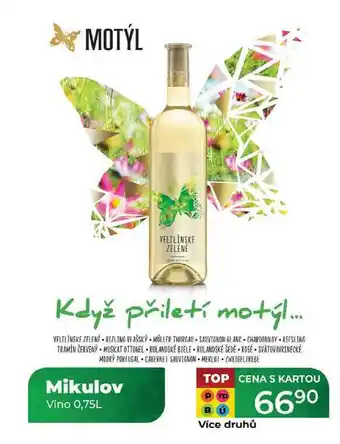 Tamda Foods Mikulov Víno 0,75L nabídka