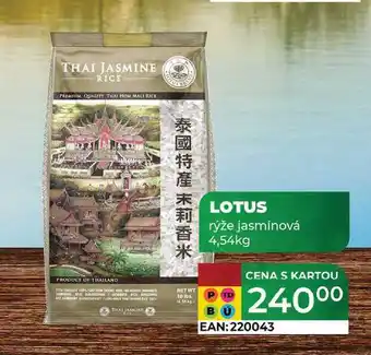 Tamda Foods LOTUS rýže jasmínová 4,54kg nabídka