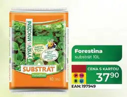 Tamda Foods Forestina substrát 10L nabídka