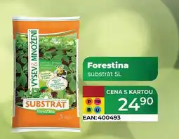 Tamda Foods Forestina 5 L nabídka