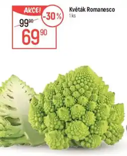 Globus Květák Romanesco nabídka