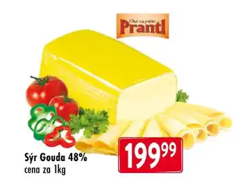 Qanto Sýr Gouda 48% nabídka