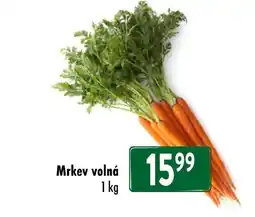 Qanto Mrkev volná nabídka