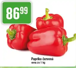 TEMPO Paprika červená nabídka