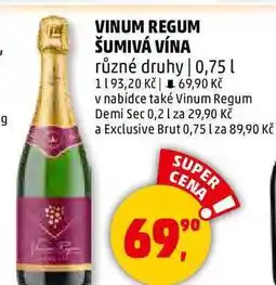 Penny Market VINUM REGUM ŠUMIVÁ VÍNA různé druhy, 0,75 l nabídka