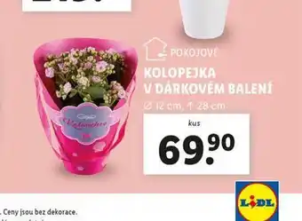 Lidl Kolopejka v dárkovém balení nabídka