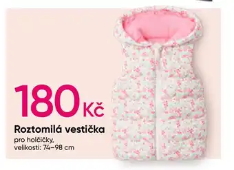 Pepco Roztomilá vestička pro holčičky, nabídka