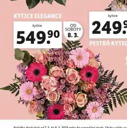 Lidl Kytice elegance nabídka