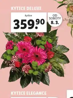 Lidl Kytice deluxe nabídka