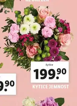 Lidl Kytice jemnost nabídka