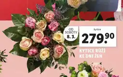 Lidl Kytice růží nabídka