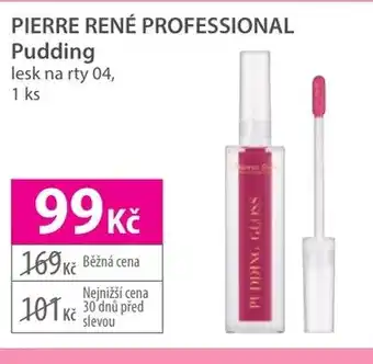 Hebe PIERRE RENÉ PROFESSIONAL Pudding nabídka