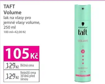 Hebe TAFT Volume nabídka