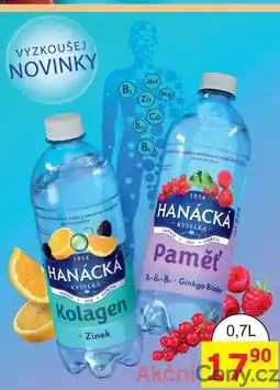 BENE Nápoje HANÁCKÁ KYSELKA 0,7L nabídka