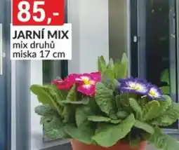 Baumax Jarní mix nabídka