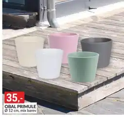 Baumax Obal primule nabídka