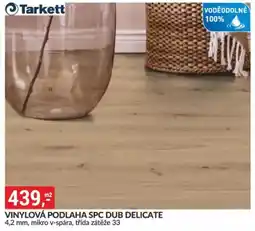 Baumax Vinylová podlaha spc dub Delicate nabídka