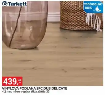 Baumax Vinylová podlaha spc dub Delicate nabídka