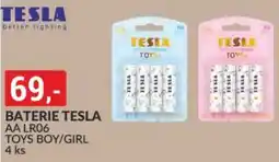 Baumax Baterie TESLA nabídka