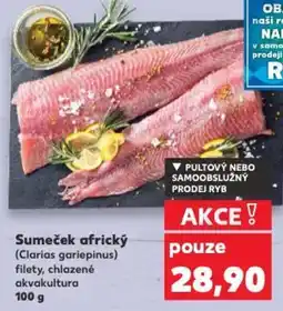 Kaufland Sumeček africký nabídka