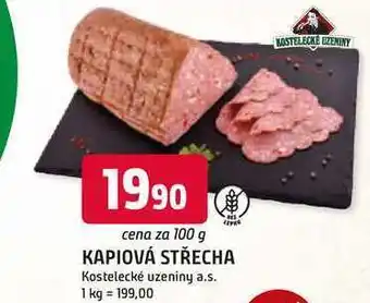 Trefa KAPIOVÁ STŘECHA 100g nabídka