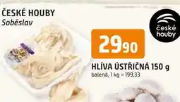 Trefa HLÍVA ÚSTŘIČNÁ 150 g nabídka