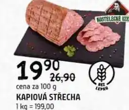 Terno Kapiová střecha 100g nabídka