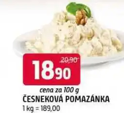 Terno Česneková pomazánka 100g nabídka